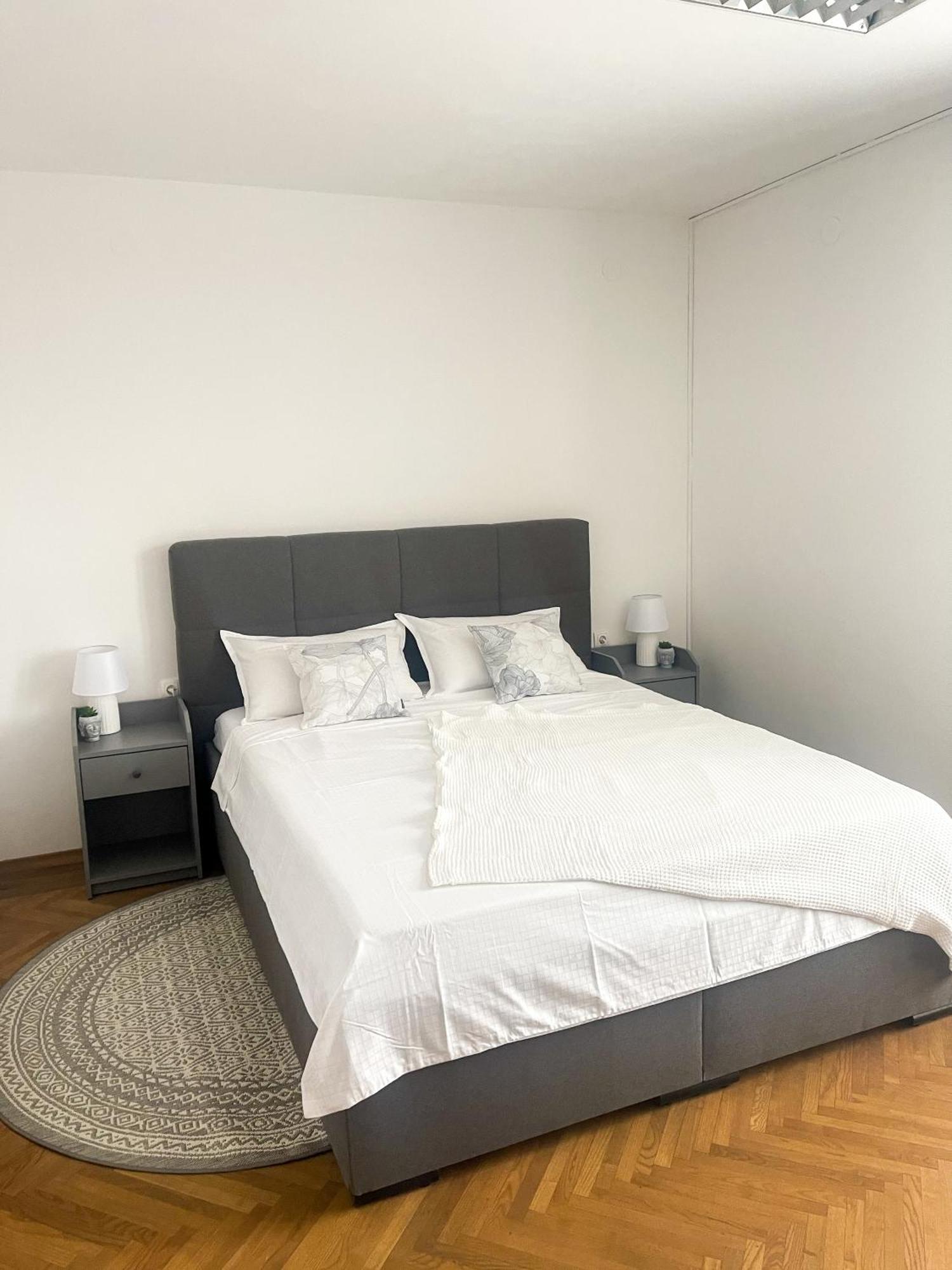 Spacious Cozy Apartment Ljubljana Eksteriør billede